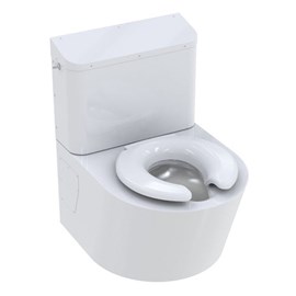 Bariatric Toilet